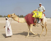 Eken_guidon_in_Qatar2